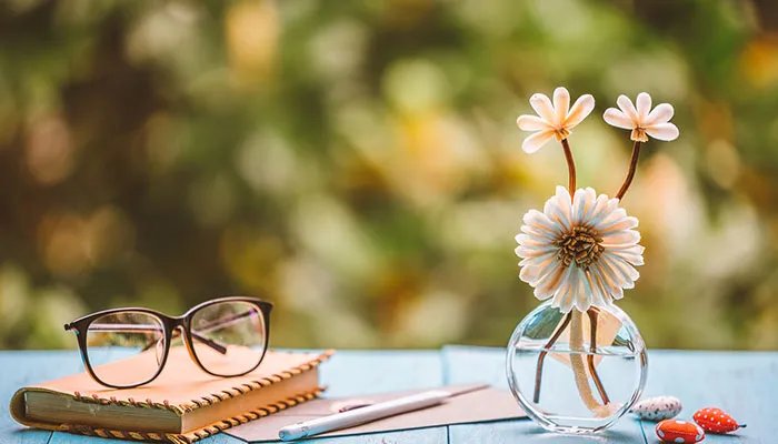 莫等闲的下一句 莫等闲的后面一句是什么