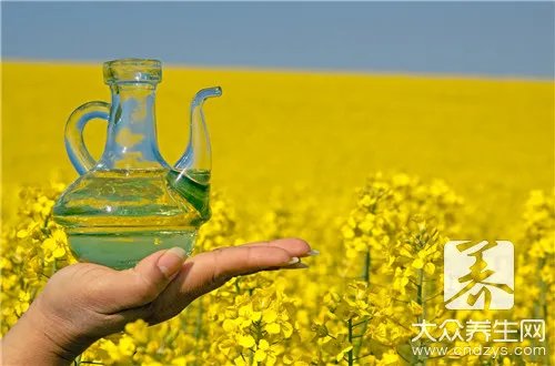 食用油营养价值排名