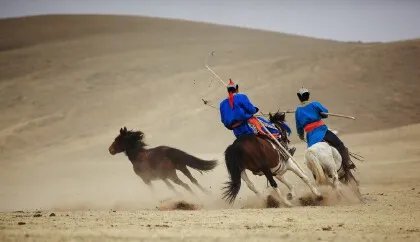 胡人是什么意思