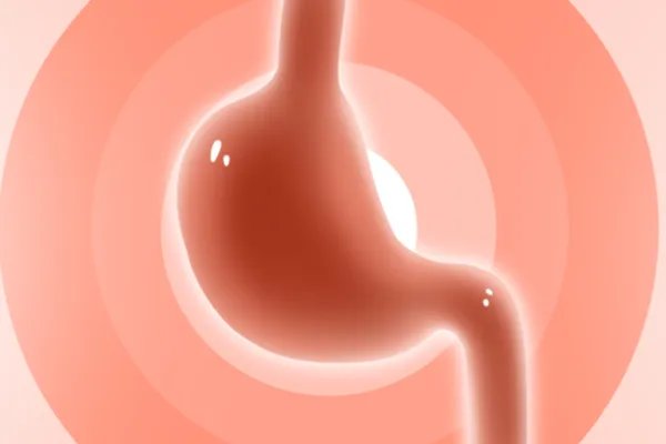 红花籽的功效与作用