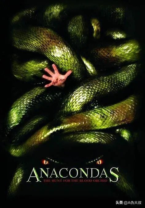 比较经典的探险类电影有哪些?