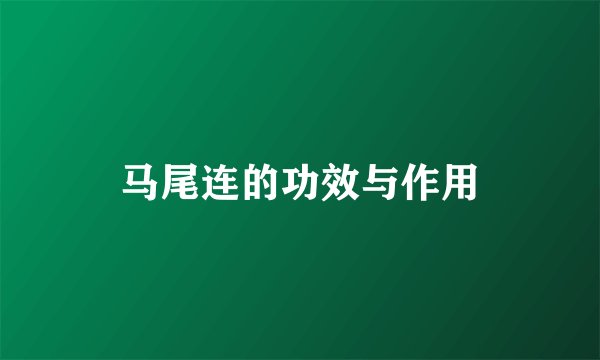 马尾连的功效与作用