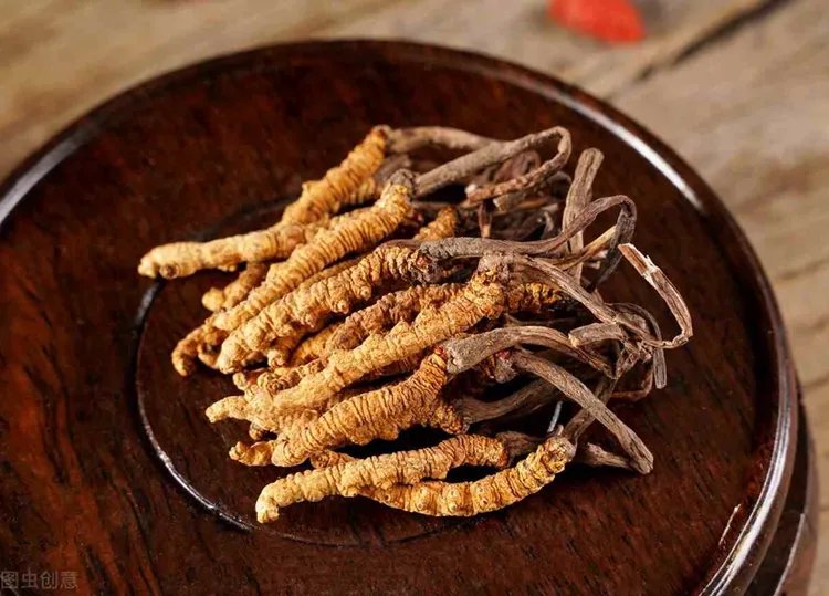 虫草的功效与作用
