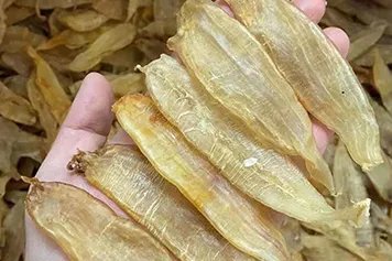 小金龙鱼胶的功效与作用