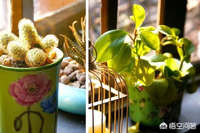 上海咖啡馆推荐