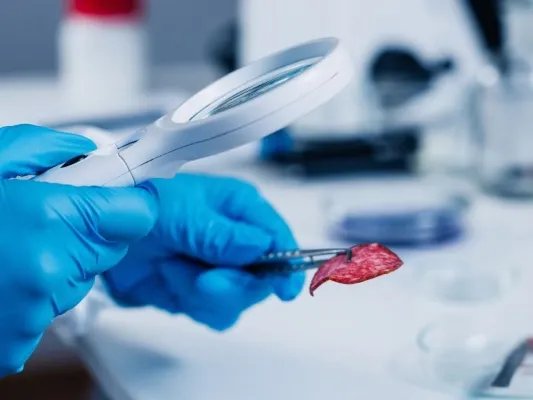 邻苯二甲酸酯的用途