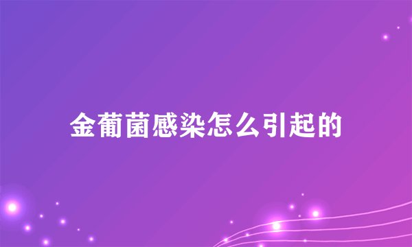 金葡菌感染怎么引起的
