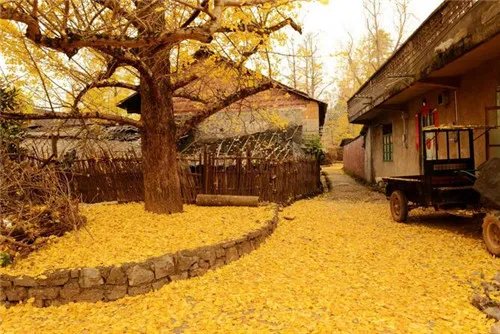 十一月份旅游景点推荐 十一月份去哪里旅游好