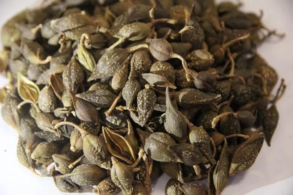 红曲茶的功效与作用