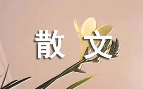 骑大马散文