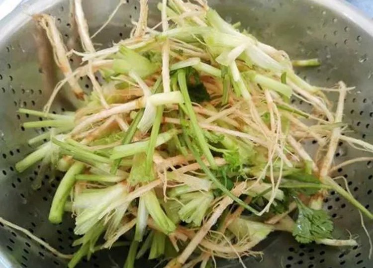 香菜根的功效与作用