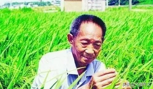 为什么袁隆平院士的儿子都如此优秀?