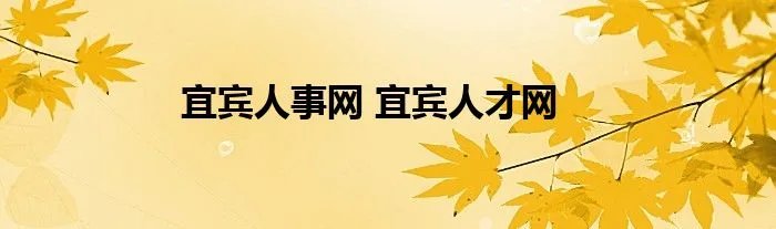 宜宾人事网 宜宾人才网
