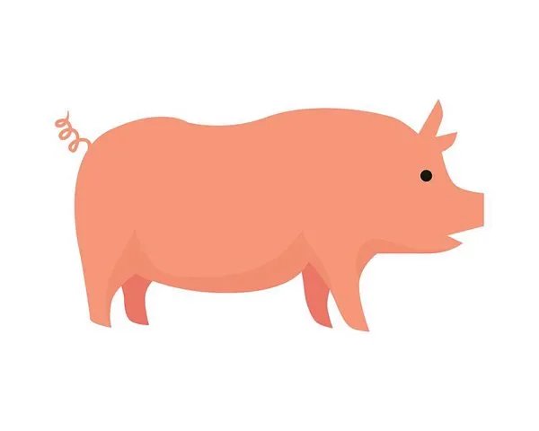 猪蓝耳病的典型症状