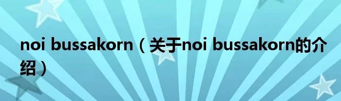 noi bussakorn（关于noi bussakorn的介绍）