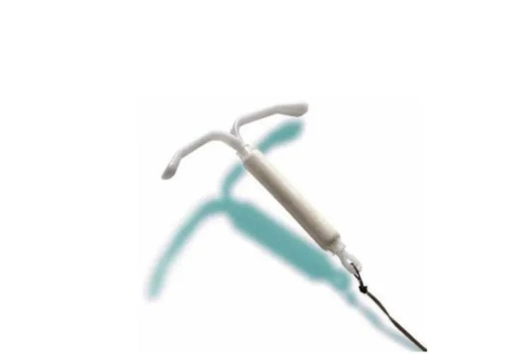 曼月环的图片大全