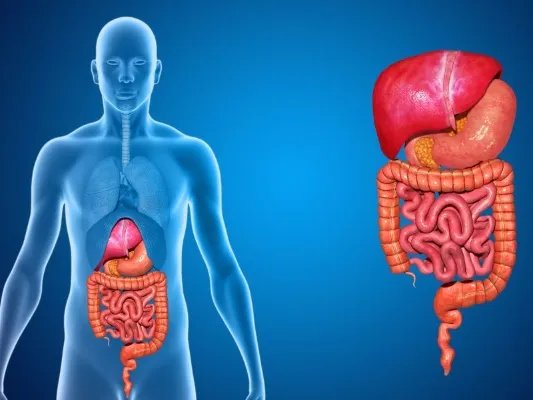 唾液淀粉酶的作用