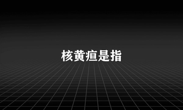 核黄疸是指