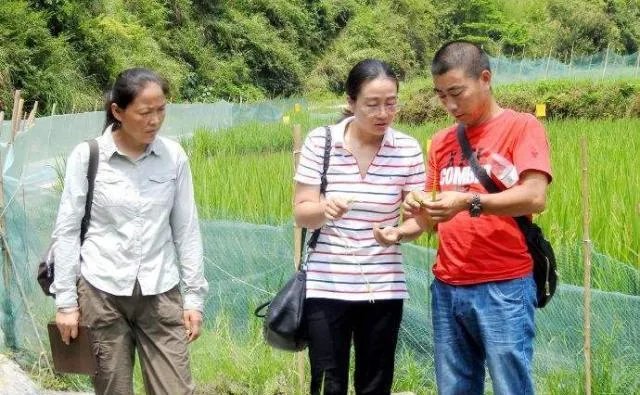 为什么袁隆平院士的儿子都如此优秀?