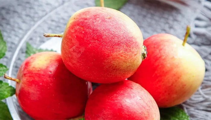 沙果是什么水果