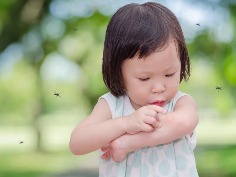 塞卡病毒有什么临床表现