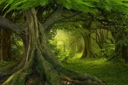 石榴木命理解析,石榴木命的命运好吗?