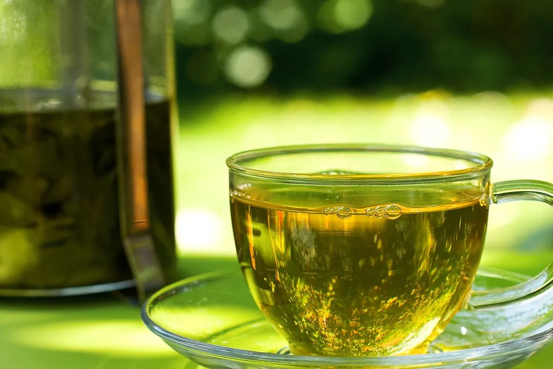 茵陈茶的功效与作用