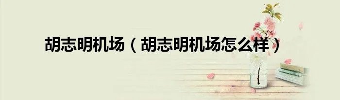 胡志明机场（胡志明机场怎么样）