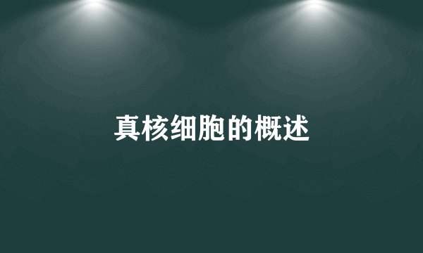 真核细胞的概述