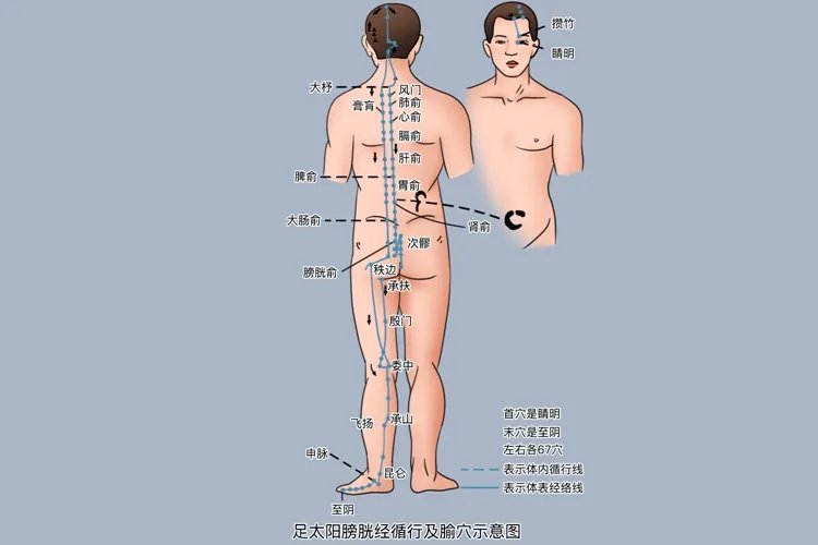 人体足部按摩经络位置图