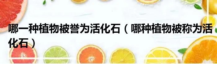 哪一种植物被誉为活化石（哪种植物被称为活化石）