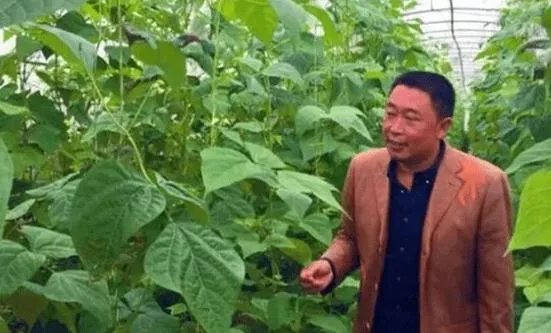 为什么袁隆平院士的儿子都如此优秀?