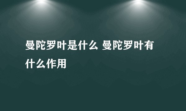 曼陀罗叶是什么 曼陀罗叶有什么作用
