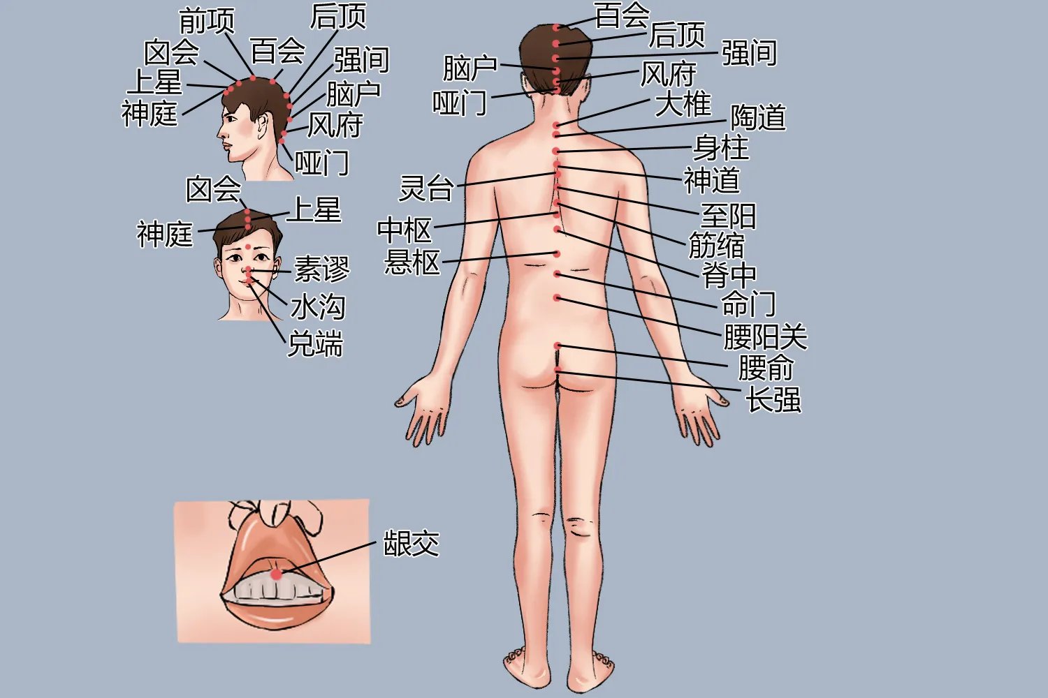 任督二脉的准确位置图