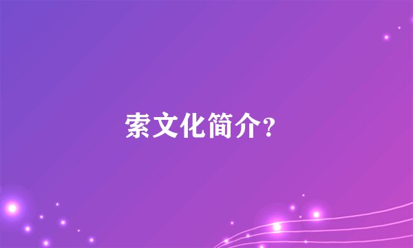 索文化简介?