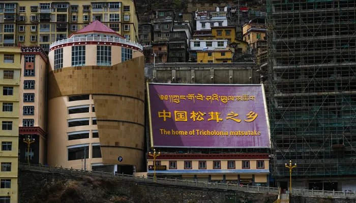 雅江县海拔多少米 雅江县在哪