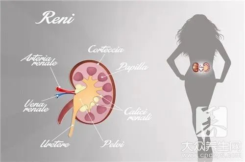 元气不足的症状有什么?