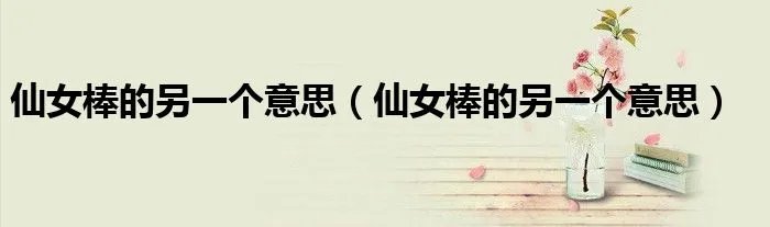 仙女棒的另一个意思（仙女棒的另一个意思）