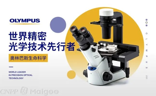 奥林巴斯是哪个国家的，OLYMPUS是什么牌子