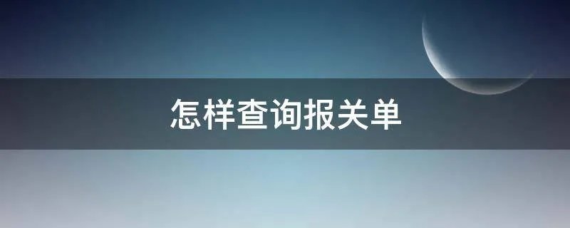 怎样查询报关单