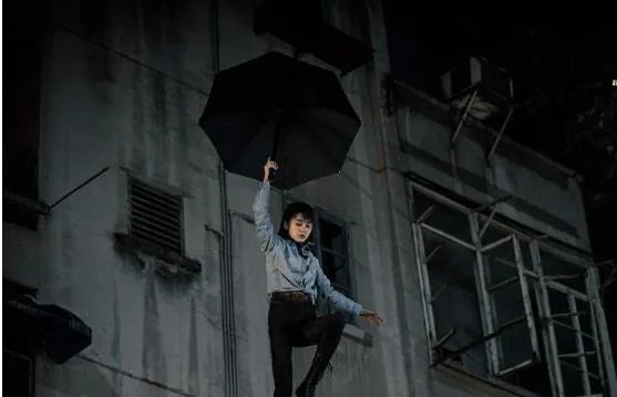 动物管理局百度百科