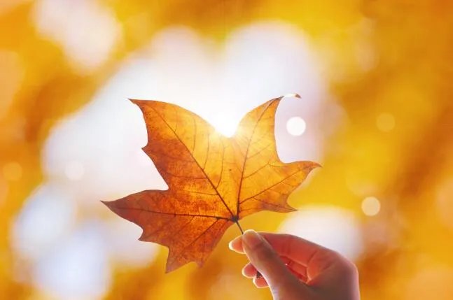 2020年立秋图片大全 立秋节气的图片景色大图2020