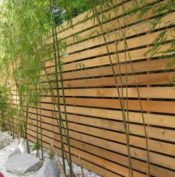 50款 · 各式各样的小院围墙设计