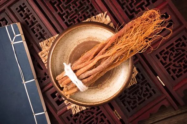 大黄产地哪里最好