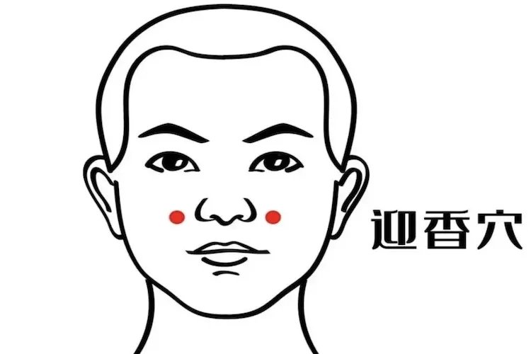 迎香的准确位置图片