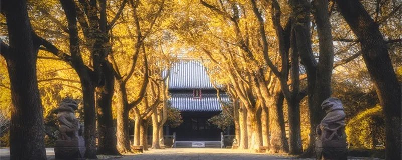 看破红尘的诗句 看破红尘的诗句大全悲伤的经典语句