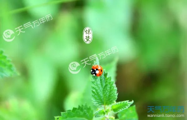 惊蛰的拼音是什么