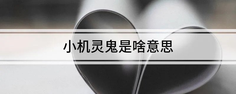 小机灵鬼是啥意思