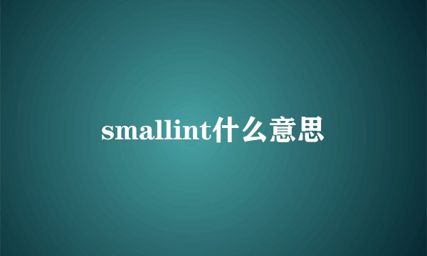 smallint什么意思
