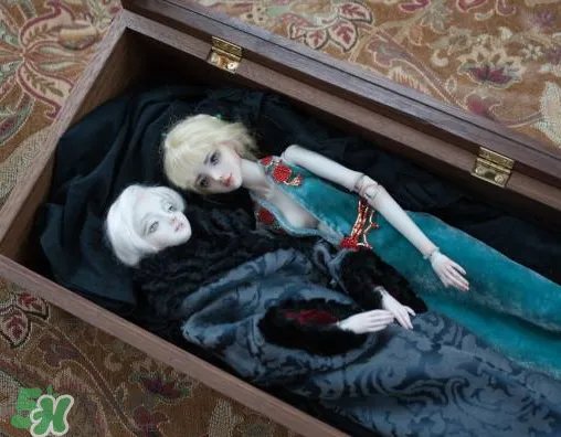 Enchanted Doll多少钱?Enchanted Doll哪里买?